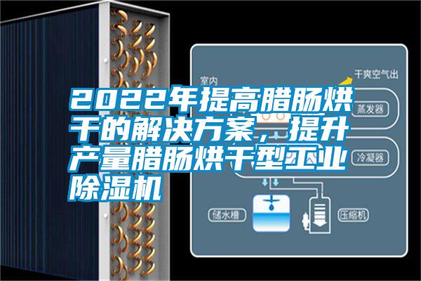 2022年提高臘腸烘干的解決方案，提升產(chǎn)量臘腸烘干型工業(yè)除濕機(jī)