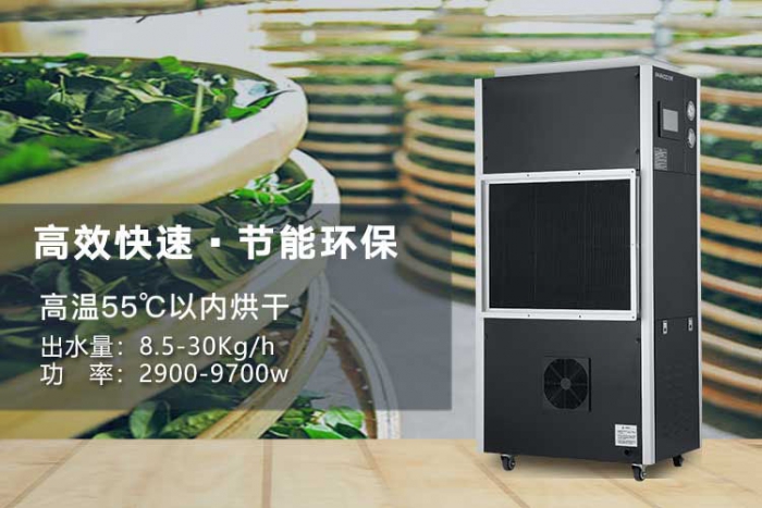 潮濕天氣來襲，螨蟲爆滿床！