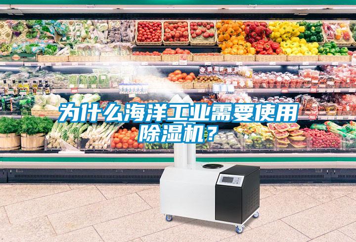 為什么海洋工業(yè)需要使用除濕機？