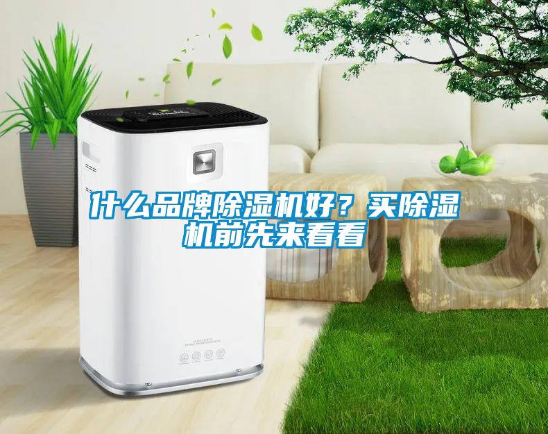 什么品牌除濕機好？買除濕機前先來看看