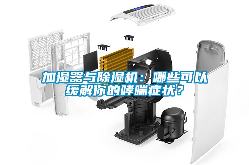 加濕器與除濕機：哪些可以緩解你的哮喘癥狀？