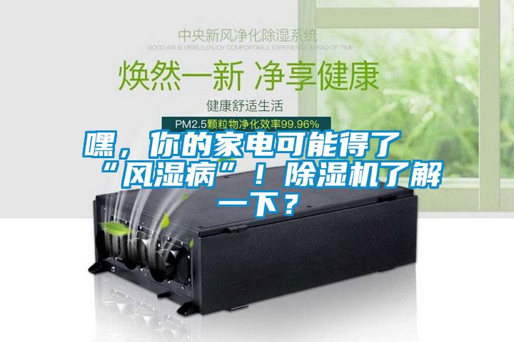 嘿，你的家電可能得了“風(fēng)濕病”！除濕機了解一下？