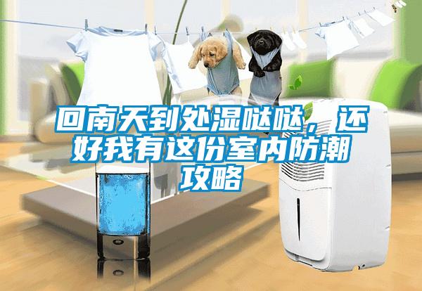 回南天到處濕噠噠，還好我有這份室內(nèi)防潮攻略