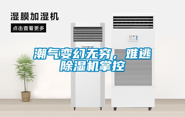 巧用車間除濕機(jī)，解決食品廠車間蒸汽問題