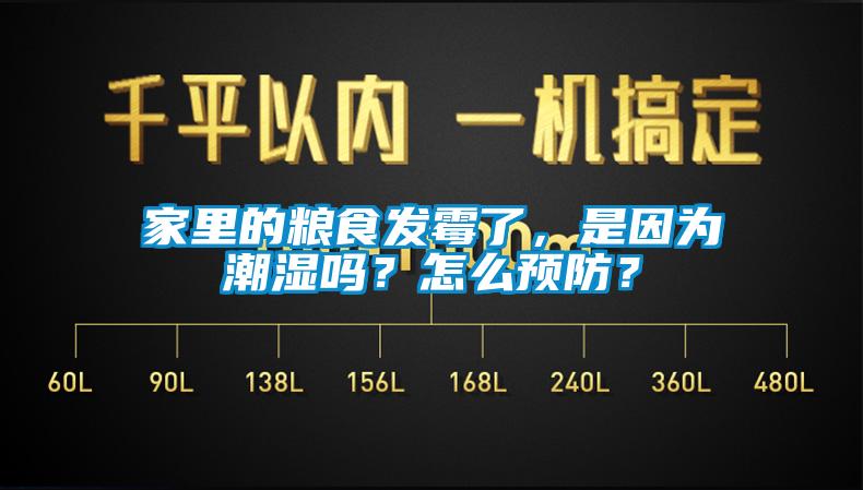 家里的糧食發(fā)霉了，是因為潮濕嗎？怎么預(yù)防？