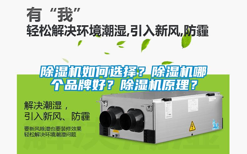 除濕機如何選擇？除濕機哪個品牌好？除濕機原理？