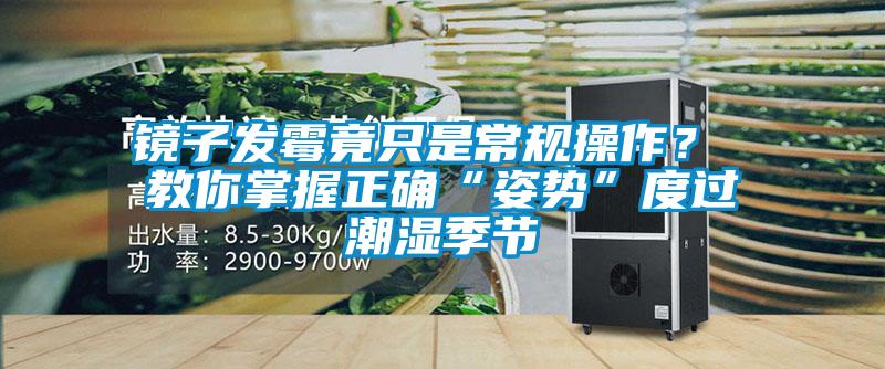 鏡子發(fā)霉竟只是常規(guī)操作？ 教你掌握正確“姿勢”度過潮濕季節(jié)