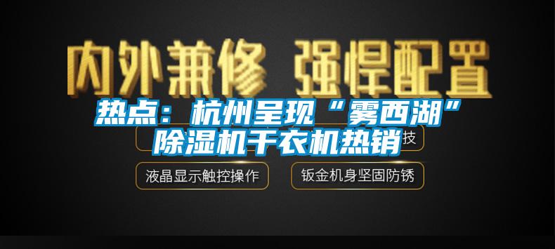 熱點(diǎn)：杭州呈現(xiàn)“霧西湖”除濕機(jī)干衣機(jī)熱銷(xiāo)