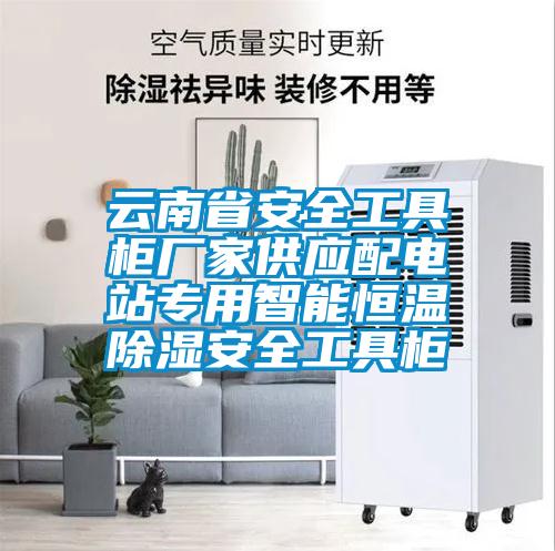 云南省安全工具柜廠家供應(yīng)配電站專(zhuān)用智能恒溫除濕安全工具柜