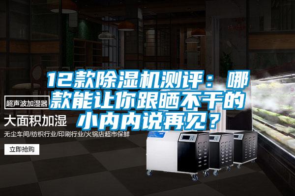 12款除濕機(jī)測評：哪款能讓你跟曬不干的小內(nèi)內(nèi)說再見？