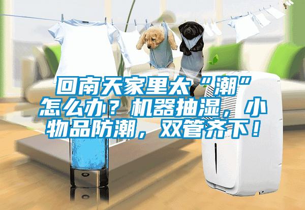 回南天家里太“潮”怎么辦？機(jī)器抽濕，小物品防潮，雙管齊下！