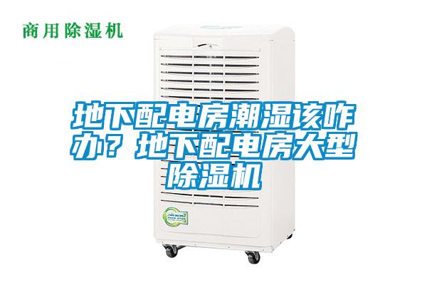 地下配電房潮濕該咋辦？地下配電房大型除濕機(jī)