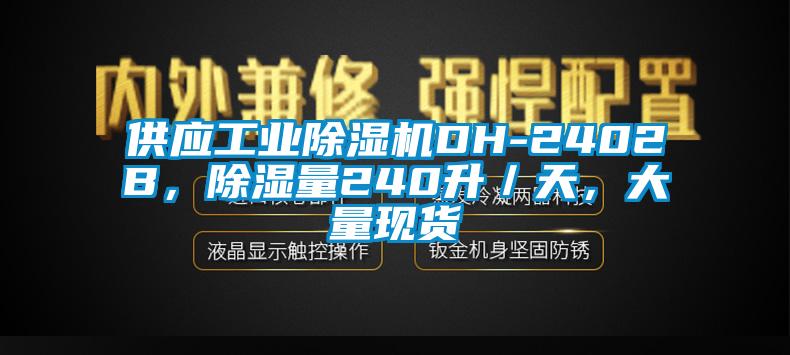 供應(yīng)工業(yè)除濕機(jī)DH-2402B，除濕量240升／天，大量現(xiàn)貨