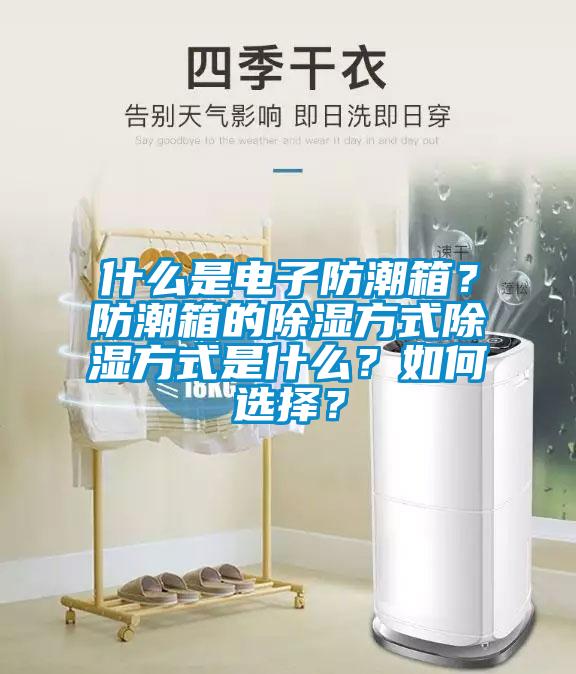 什么是電子防潮箱？防潮箱的除濕方式除濕方式是什么？如何選擇？