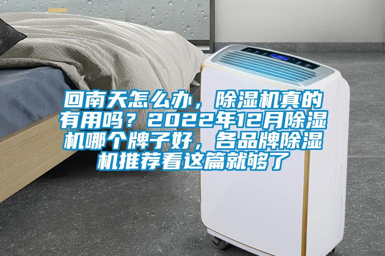 回南天怎么辦，除濕機真的有用嗎？2022年12月除濕機哪個牌子好，各品牌除濕機推薦看這篇就夠了