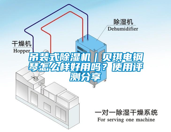 吊裝式除濕機｜貝琪電鋼琴怎么樣好用嗎？使用評測分享