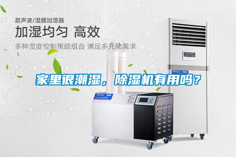 家里很潮濕，除濕機(jī)有用嗎？