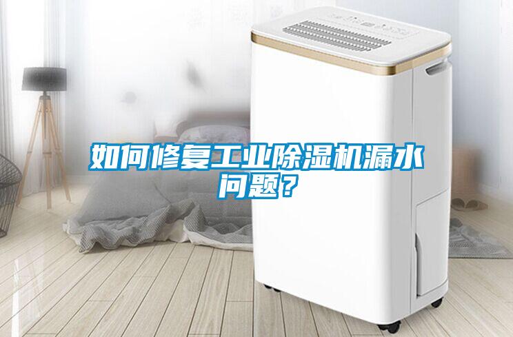 如何修復工業(yè)除濕機漏水問題？