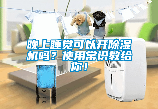 晚上睡覺可以開除濕機嗎？使用常識教給你！