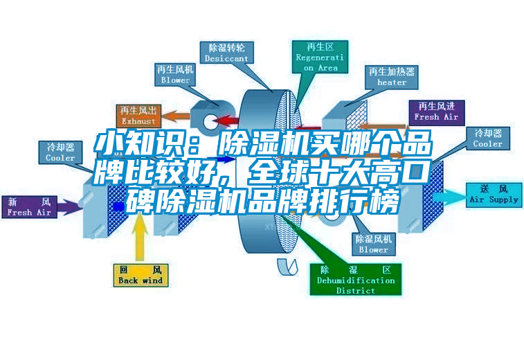 小知識：除濕機買哪個品牌比較好，全球十大高口碑除濕機品牌排行榜