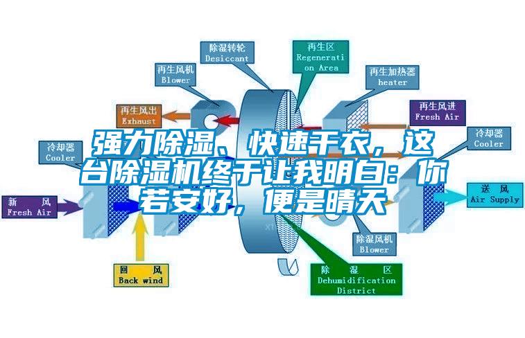 強(qiáng)力除濕、快速干衣，這臺除濕機(jī)終于讓我明白：你若安好，便是晴天