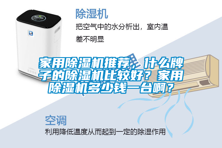 家用除濕機推薦，什么牌子的除濕機比較好？家用除濕機多少錢一臺??？