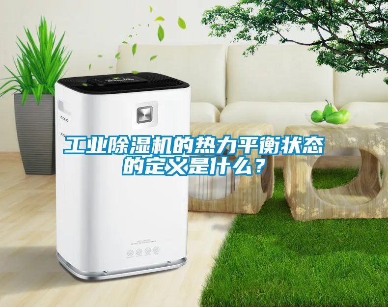 工業(yè)除濕機的熱力平衡狀態(tài)的定義是什么？