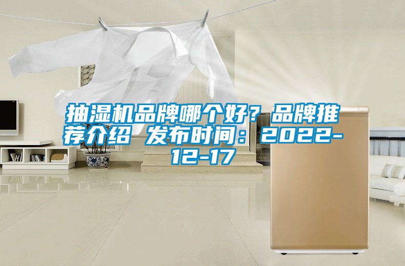 抽濕機(jī)品牌哪個(gè)好？品牌推薦介紹 發(fā)布時(shí)間：2022-12-17