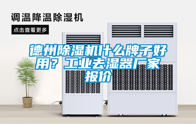 德州除濕機什么牌子好用？工業(yè)去濕器廠家報價