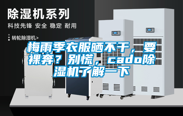 梅雨季衣服曬不干，要裸奔？別慌，cado除濕機(jī)了解一下