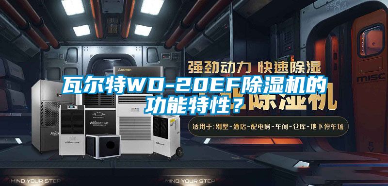 瓦爾特WD-20EF除濕機的功能特性？