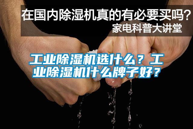 工業(yè)除濕機選什么？工業(yè)除濕機什么牌子好？