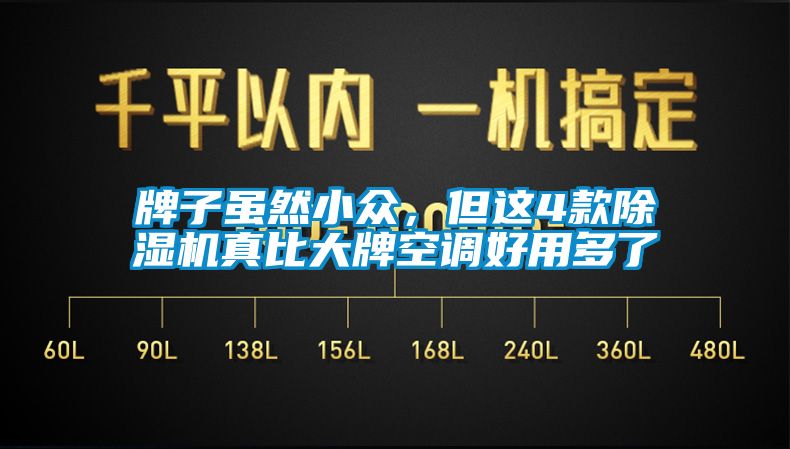 牌子雖然小眾，但這4款除濕機(jī)真比大牌空調(diào)好用多了