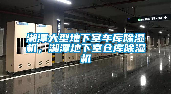 湘潭大型地下室車庫(kù)除濕機(jī)，湘潭地下室倉(cāng)庫(kù)除濕機(jī)