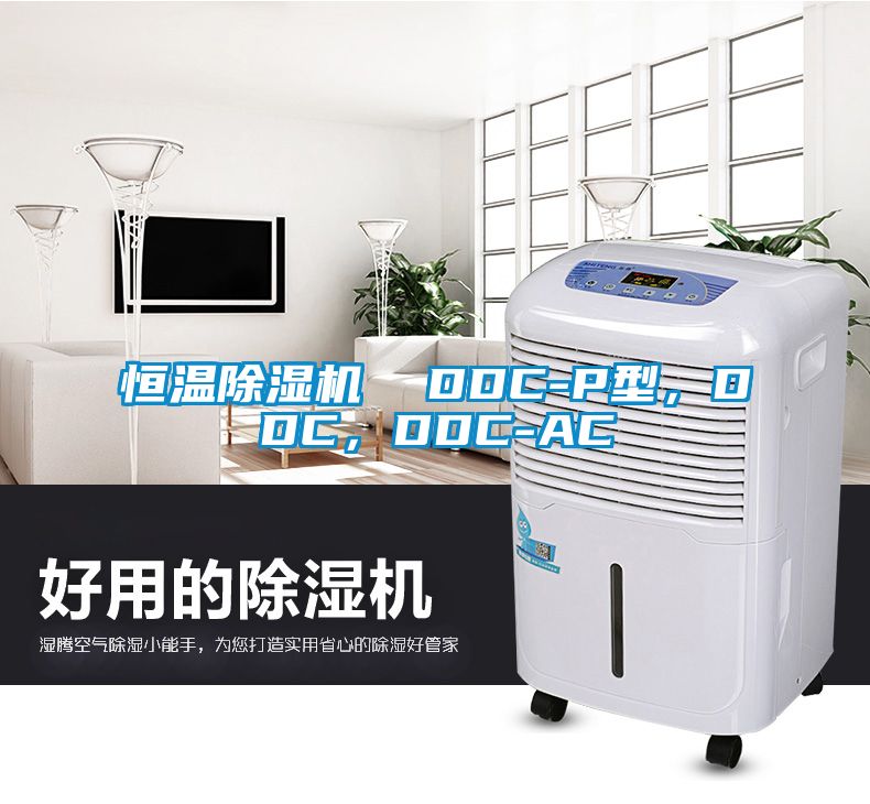 恒溫除濕機(jī)  DDC-P型，DDC，DDC-AC