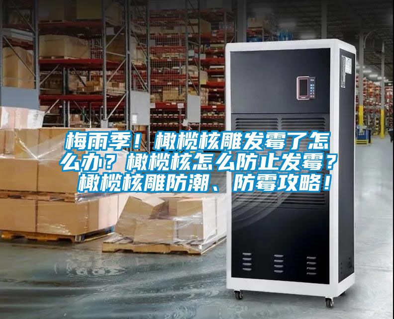 梅雨季！橄欖核雕發(fā)霉了怎么辦？橄欖核怎么防止發(fā)霉？ 橄欖核雕防潮、防霉攻略！