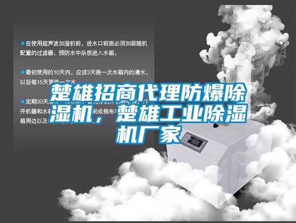 楚雄招商代理防爆除濕機，楚雄工業(yè)除濕機廠家