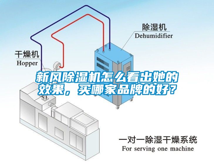 新風除濕機怎么看出她的效果，買哪家品牌的好？