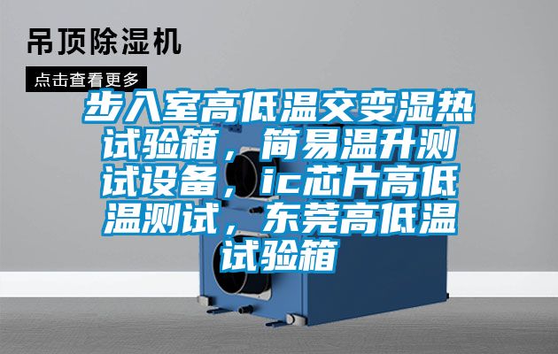 步入室高低溫交變濕熱試驗箱，簡易溫升測試設(shè)備，ic芯片高低溫測試，東莞高低溫試驗箱