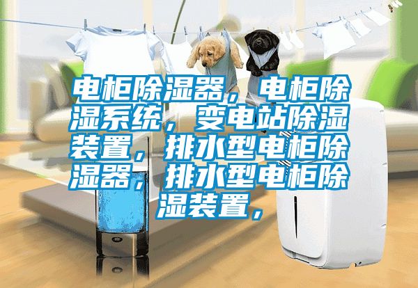 電柜除濕器，電柜除濕系統(tǒng)，變電站除濕裝置，排水型電柜除濕器，排水型電柜除濕裝置，