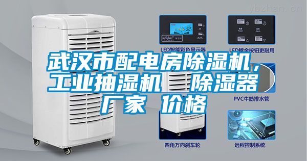 武漢市配電房除濕機，工業(yè)抽濕機  除濕器廠家 價格