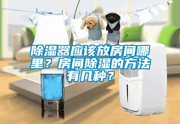 除濕器應(yīng)該放房間哪里？房間除濕的方法有幾種？