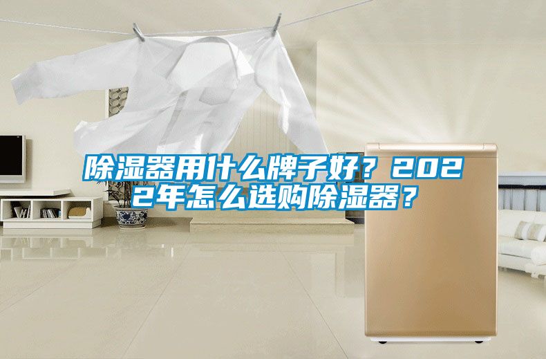 除濕器用什么牌子好？2022年怎么選購除濕器？