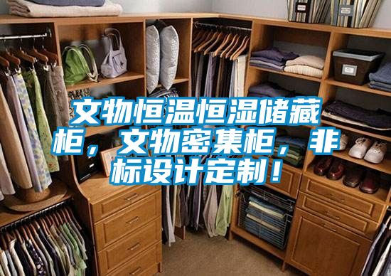 文物恒溫恒濕儲藏柜，文物密集柜，非標(biāo)設(shè)計定制！