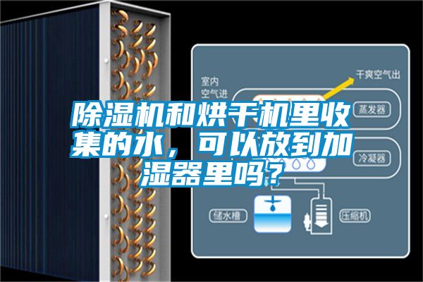 除濕機和烘干機里收集的水，可以放到加濕器里嗎？