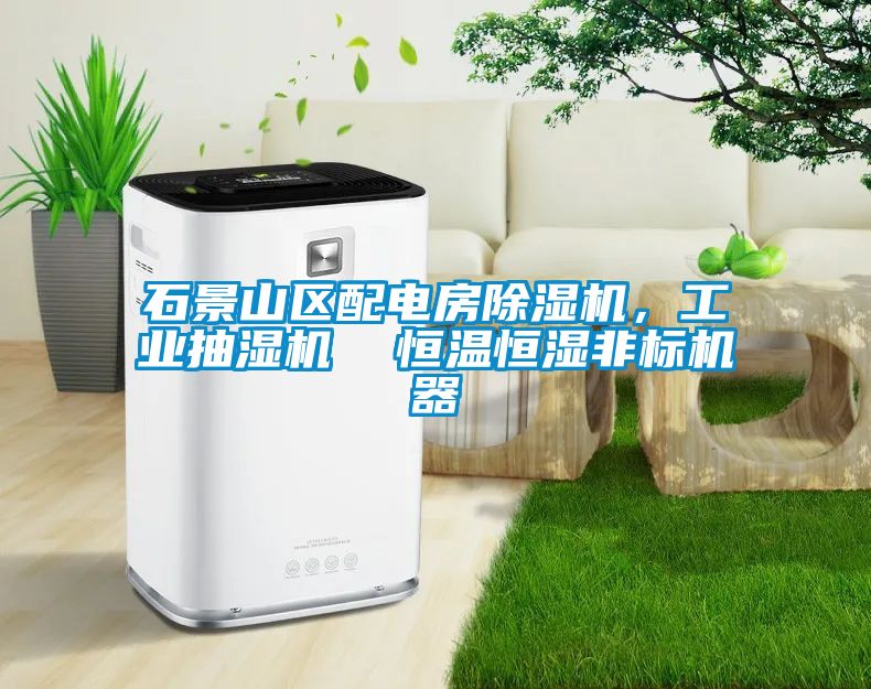 石景山區(qū)配電房除濕機(jī)，工業(yè)抽濕機(jī)  恒溫恒濕非標(biāo)機(jī)器