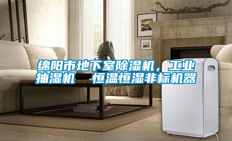 綿陽市地下室除濕機，工業(yè)抽濕機  恒溫恒濕非標機器