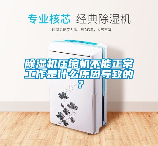 除濕機壓縮機不能正常工作是什么原因?qū)е碌模?/></p>
						    <p style=