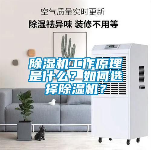 除濕機(jī)工作原理是什么？如何選擇除濕機(jī)？