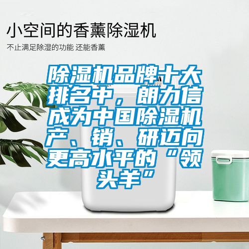 除濕機(jī)品牌十大排名中，朗力信成為中國(guó)除濕機(jī)產(chǎn)、銷、研邁向更高水平的“領(lǐng)頭羊”